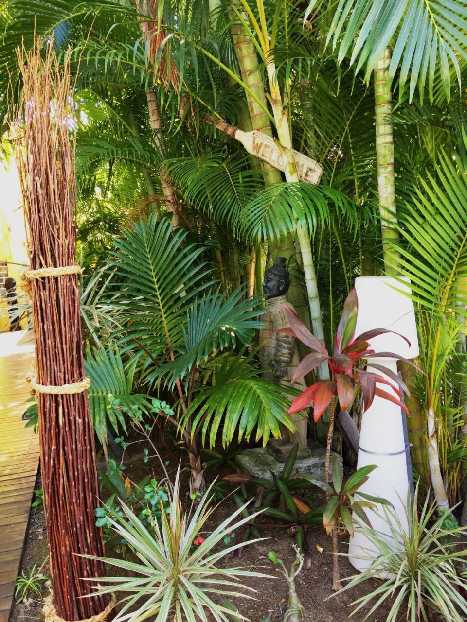 Hotel Les Bougainvilliers Сен Жилс ле Бен Екстериор снимка